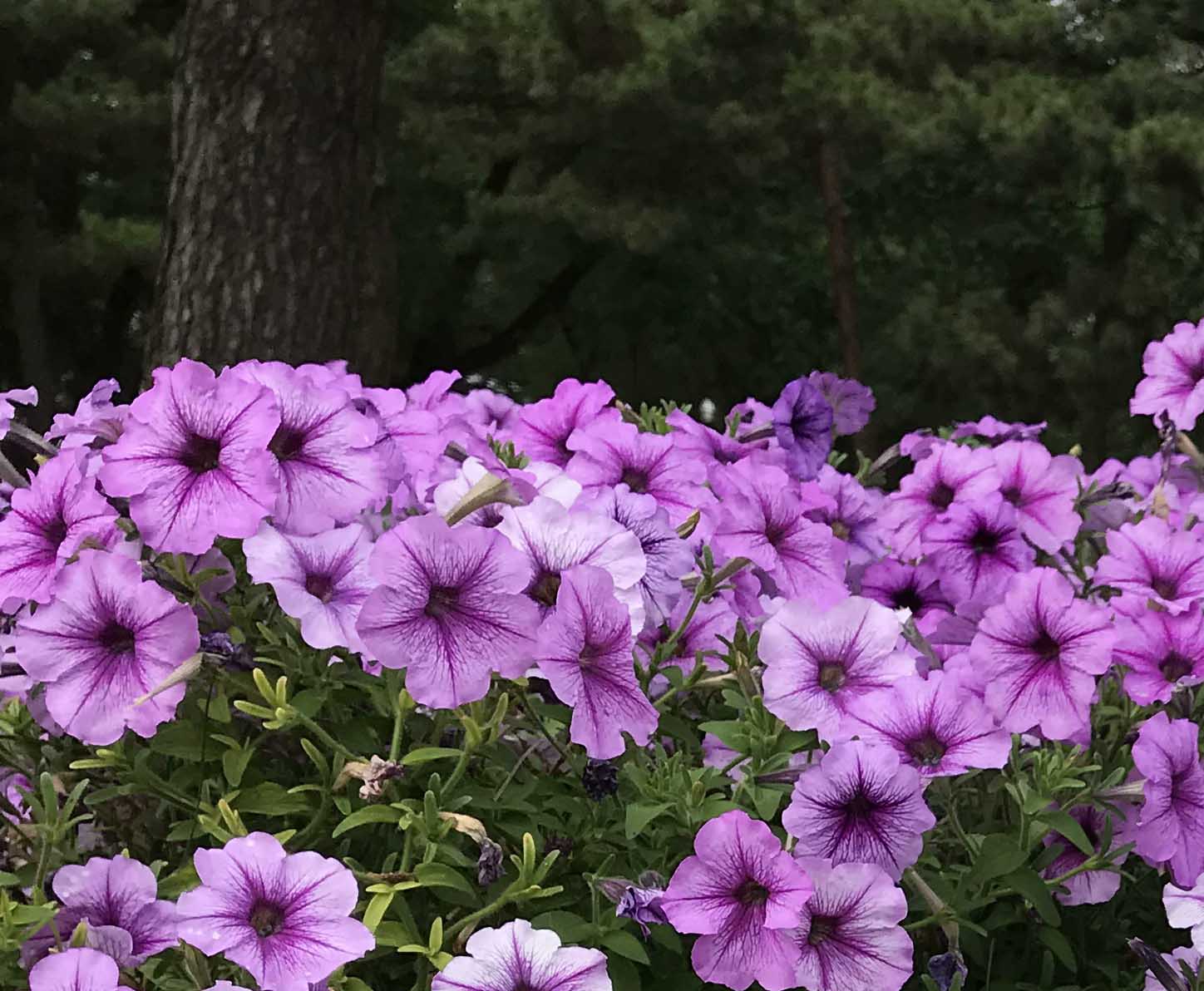 歲月長(zhǎng)歌！